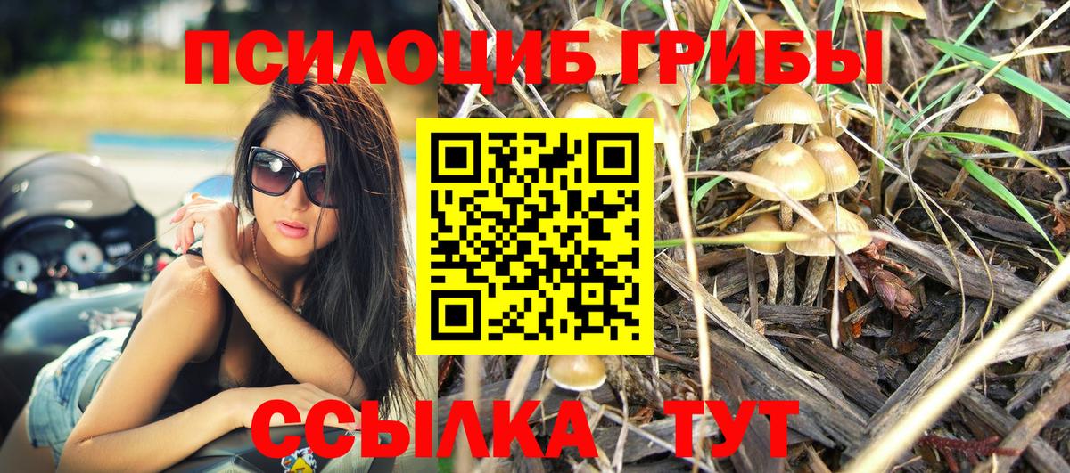 Псилоцибиновые грибы Magic Shrooms  Вход с VPN  Белово  Псилоцибиновые грибы Psilocybine cubensis 